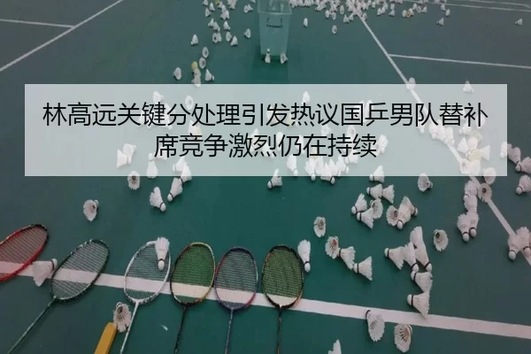 林高远关键分处理引发热议国乒男队替补席竞争激烈仍在持续